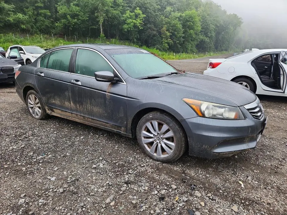 2011 HONDA ACCORD EXL  
