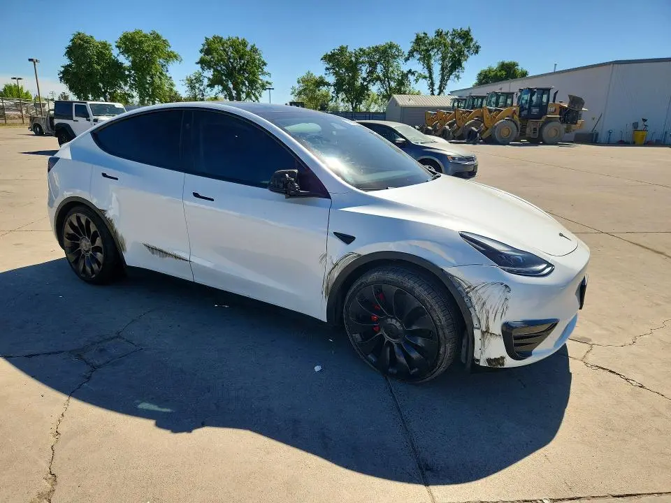 2023 TESLA MODEL Y   