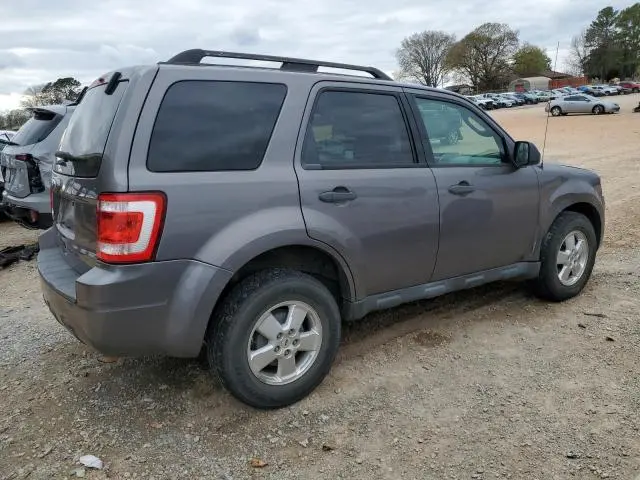 2011 FORD ESCAPE XLT