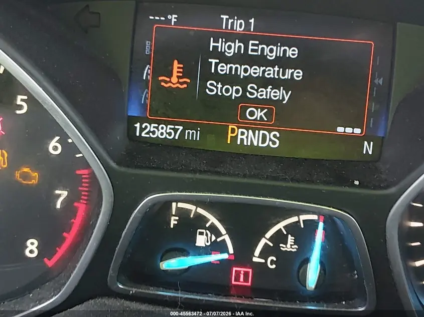 2019 FORD ESCAPE SEL
