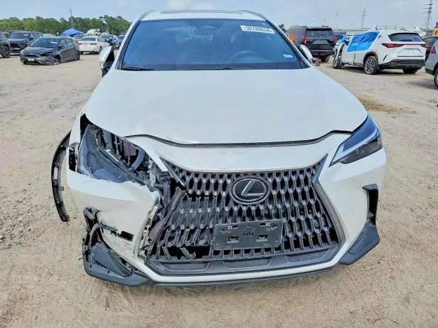 2024 LEXUS NX 250 PREMIUM  