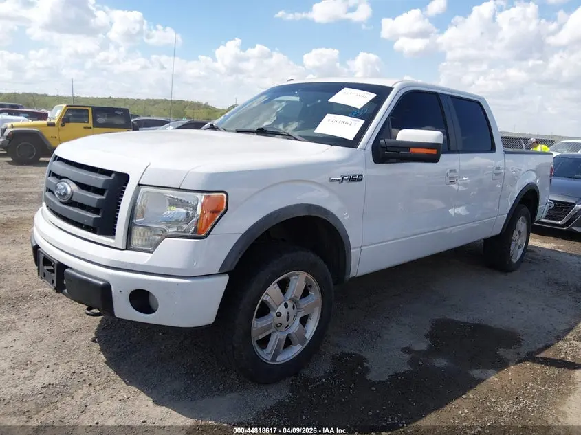 2010 FORD F-150 FX4/HARLEY-DAVIDSON/KING RANCH/LARIAT/PLATINUM/XL/XLT