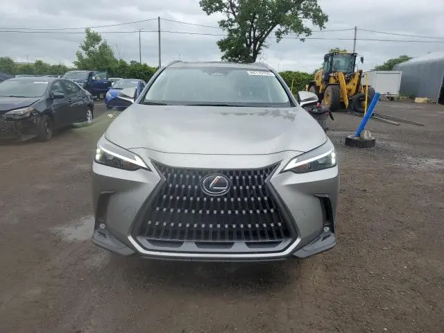2025 LEXUS NX 450H LUXURY  