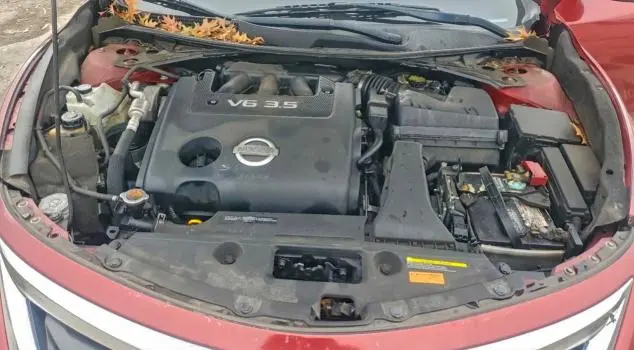 2013 NISSAN ALTIMA 3.5S  