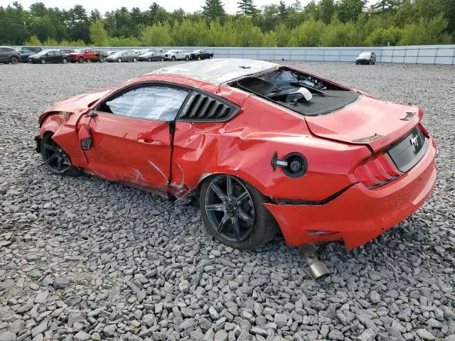 2021 FORD MUSTANG
