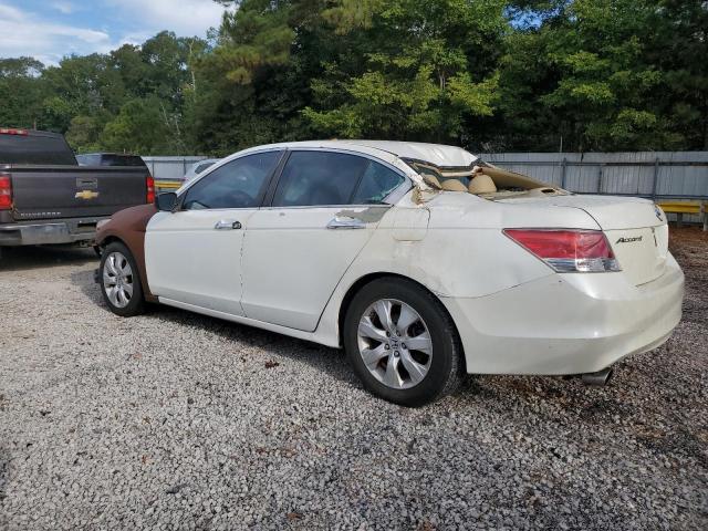 2010 HONDA ACCORD EXL