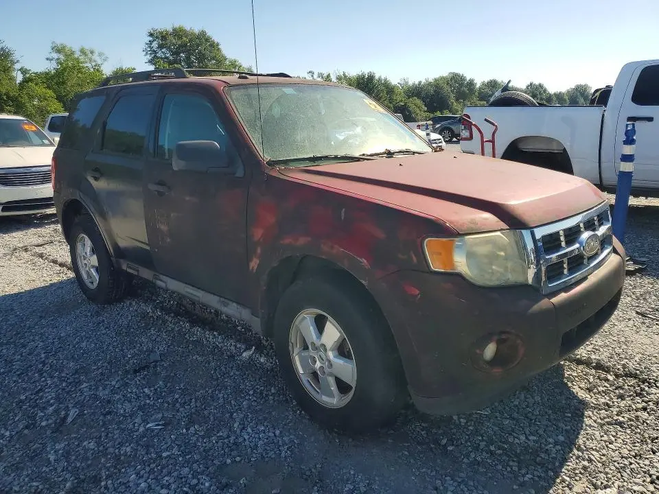 2010 FORD ESCAPE XLT  