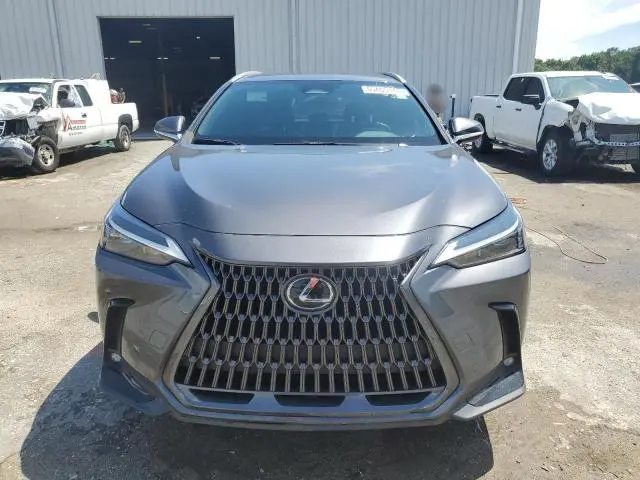 2023 LEXUS NX 250  