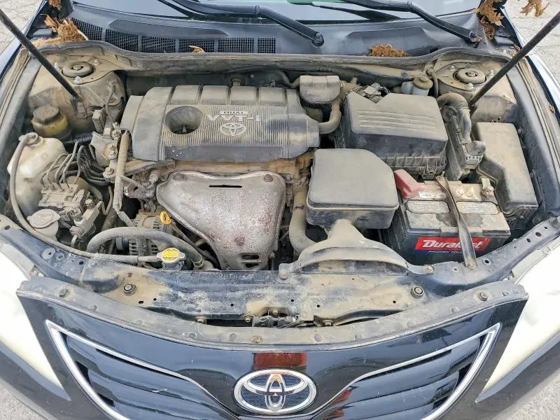 2010 TOYOTA CAMRY LE  