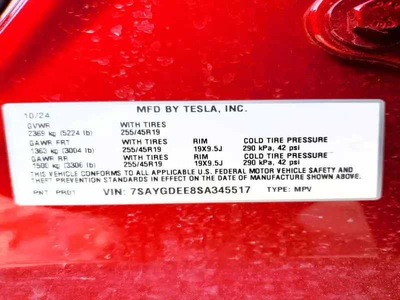 2025 TESLA MODEL Y   