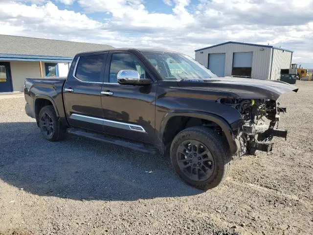 2024 TOYOTA TUNDRA CREWMAX PLATINUM  