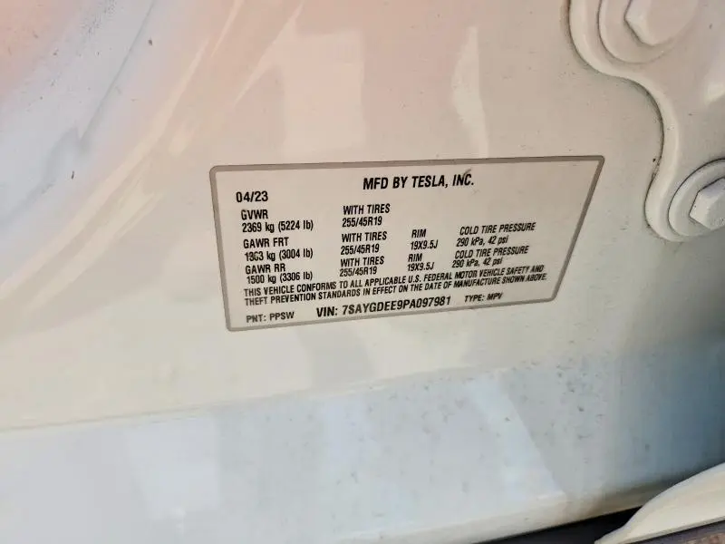 2023 TESLA MODEL Y   
