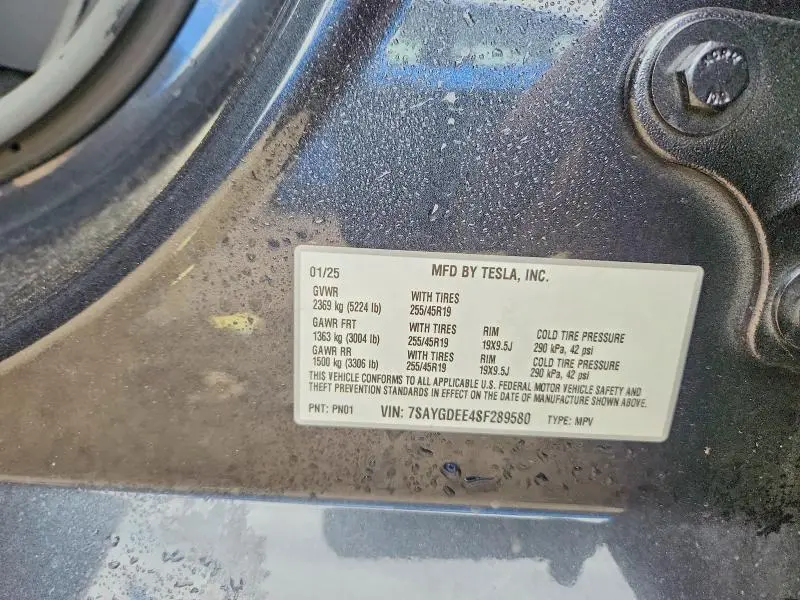 2025 TESLA MODEL Y   