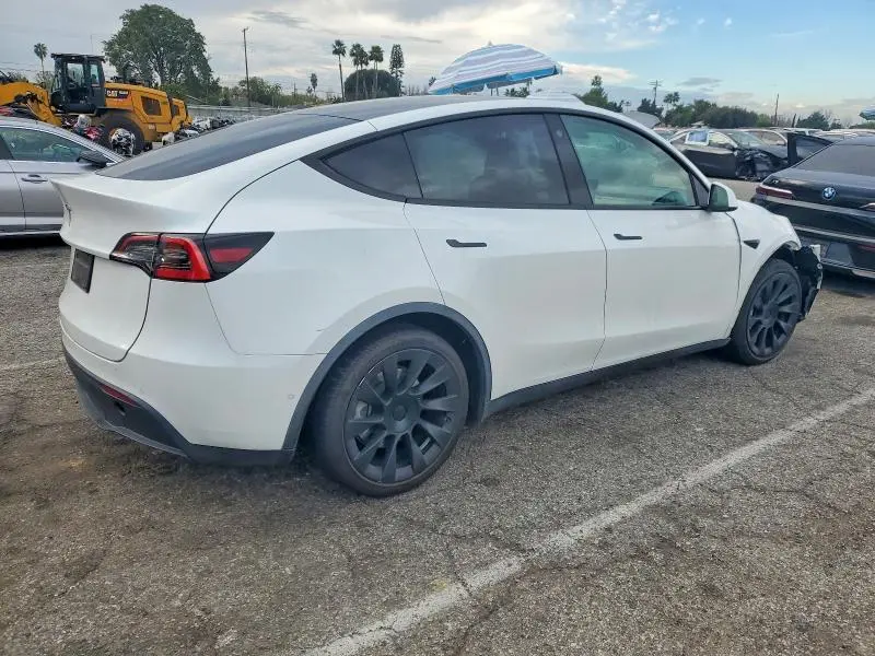 2021 TESLA MODEL Y   