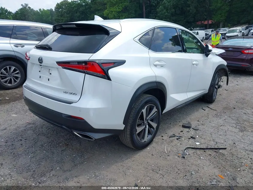 2019 LEXUS NX 300  