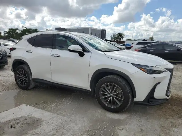 2024 LEXUS NX 250 BASE  