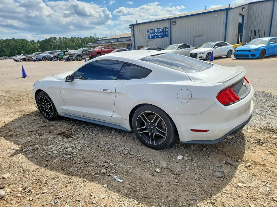 2019 FORD MUSTANG   
