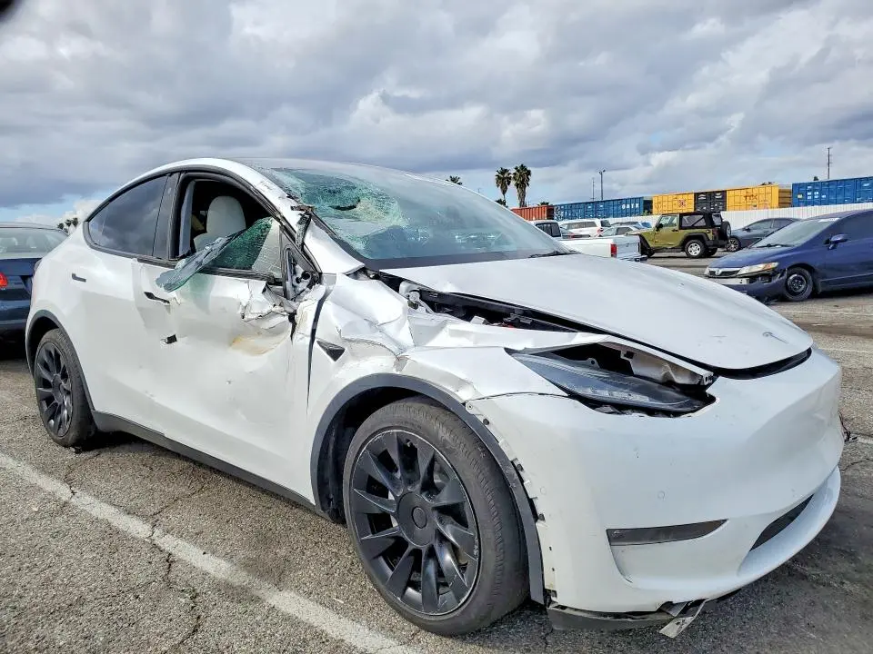 2021 TESLA MODEL Y   
