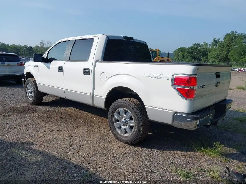 2011 FORD F-150 XLT