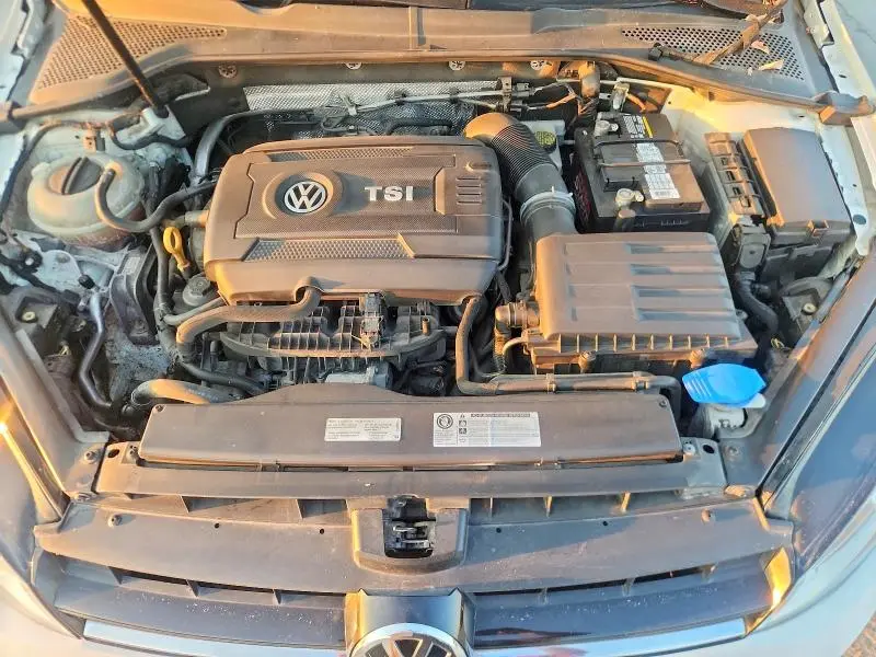 2017 VOLKSWAGEN GOLF S  