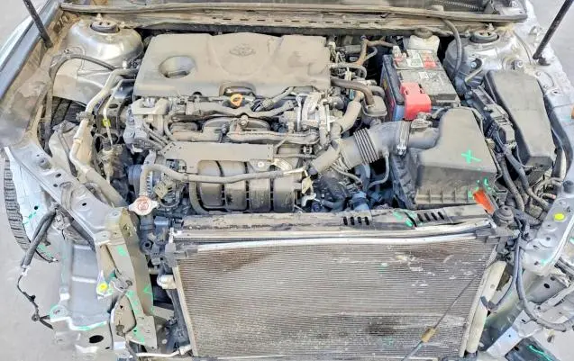 2019 TOYOTA CAMRY XLE  
