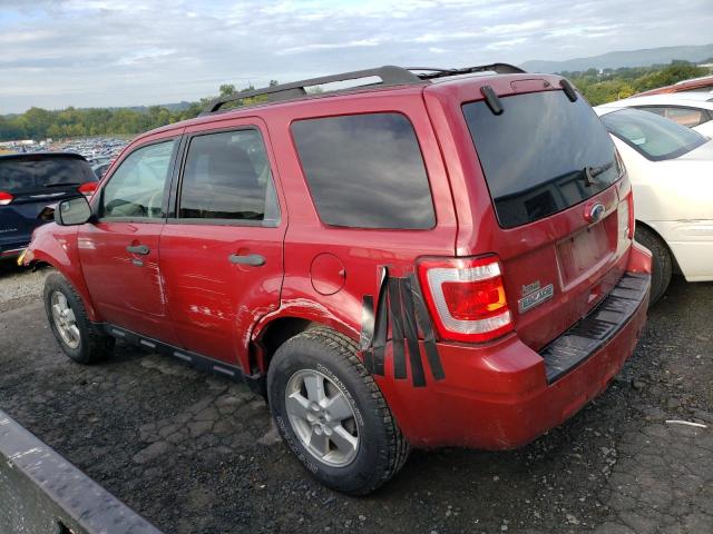 2010 FORD ESCAPE XLT