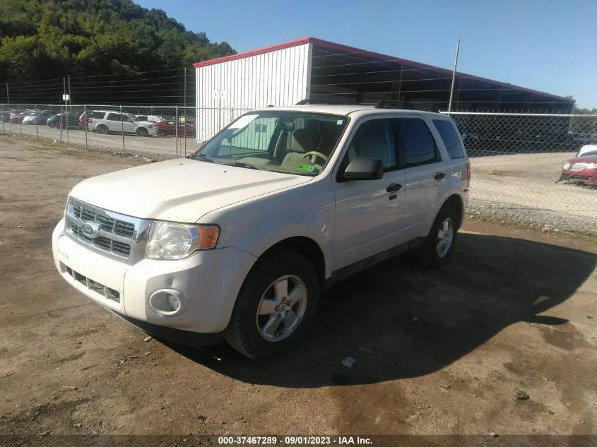 2011 FORD ESCAPE XLT
