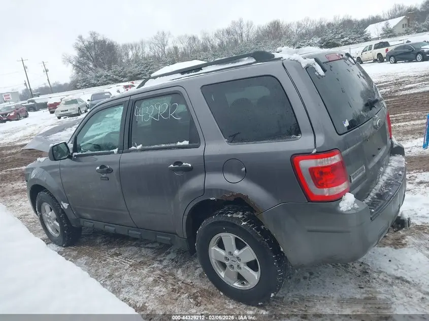 2010 FORD ESCAPE XLT