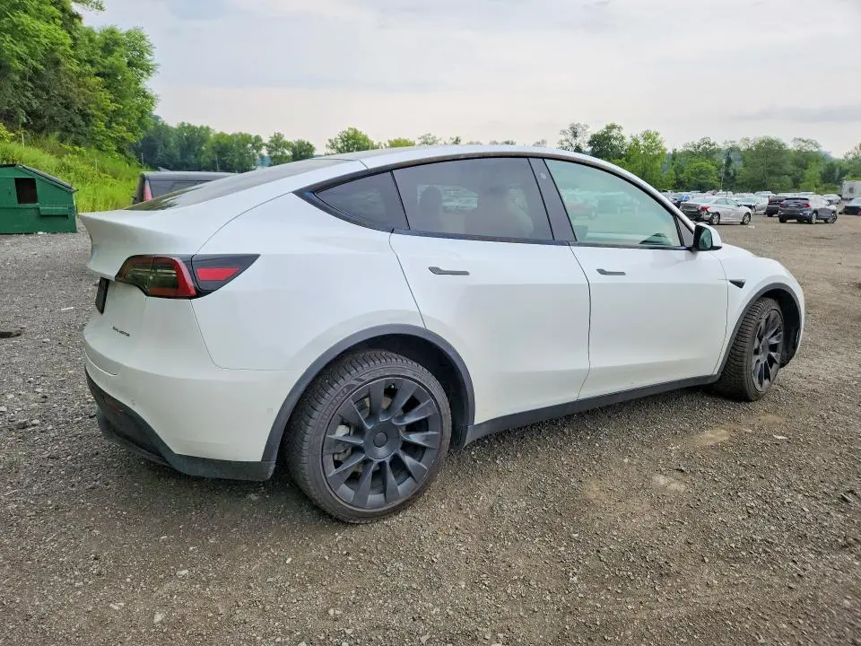 2021 TESLA MODEL Y   