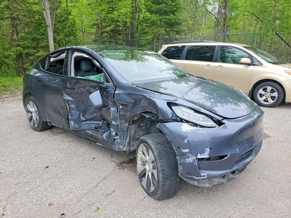 2021 TESLA MODEL Y   