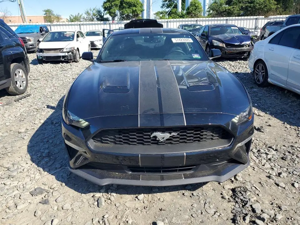 2019 FORD MUSTANG   