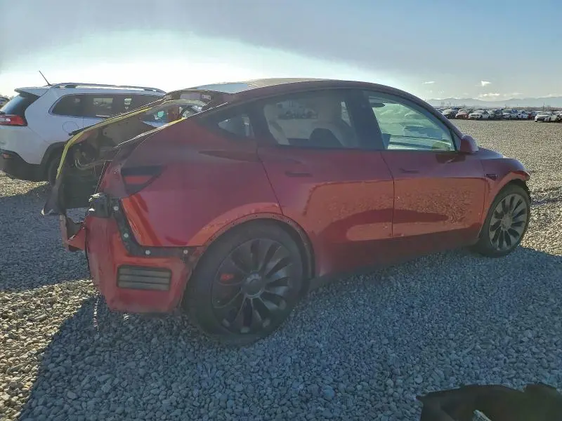 2024 TESLA MODEL Y   