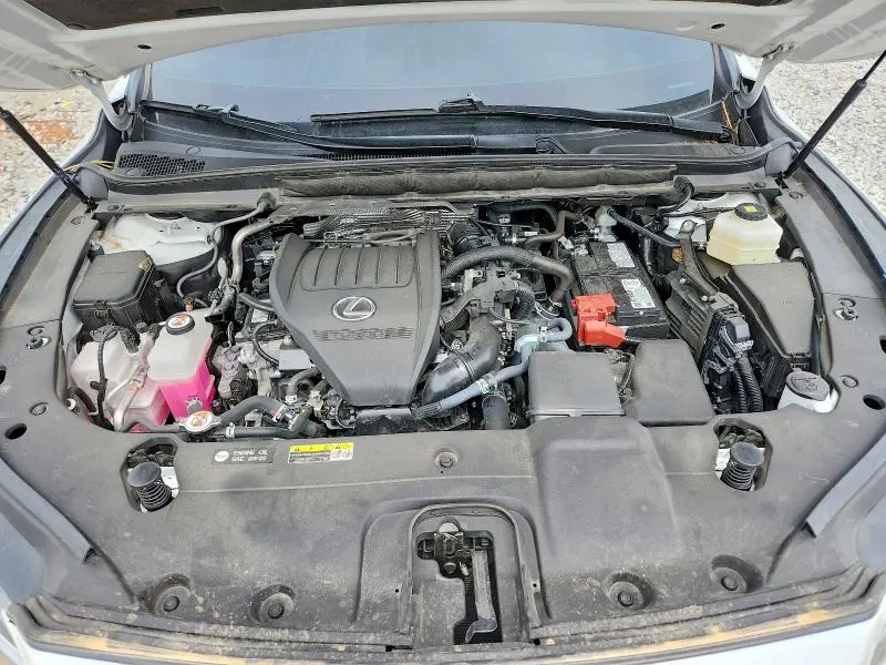 2024 LEXUS RX 350 PREMIUM+  