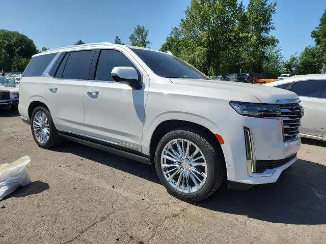 2021 CADILLAC ESCALADE PREMIUM LUXURY PLATINUM  