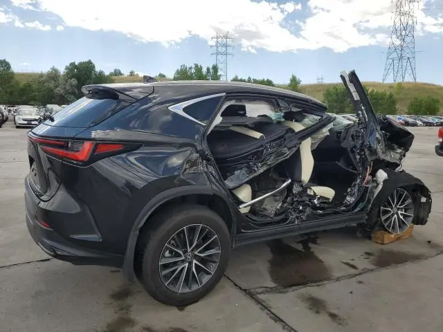 2023 LEXUS NX 250  