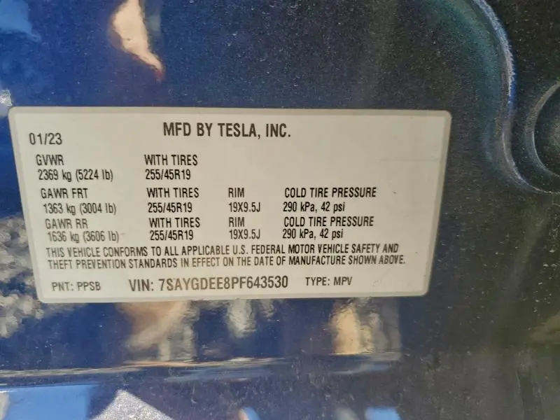 2023 TESLA MODEL Y   
