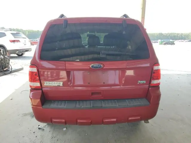 2010 FORD ESCAPE XLT  