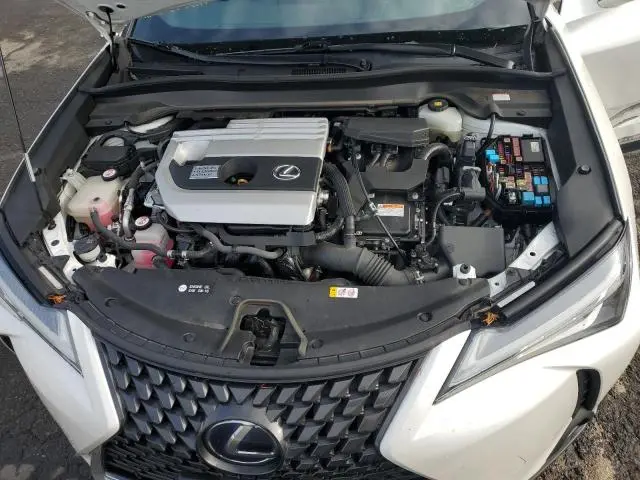 2019 LEXUS UX 250H  