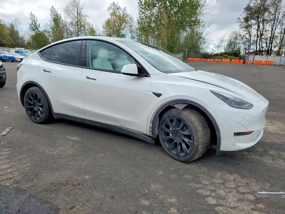 2025 TESLA MODEL Y   