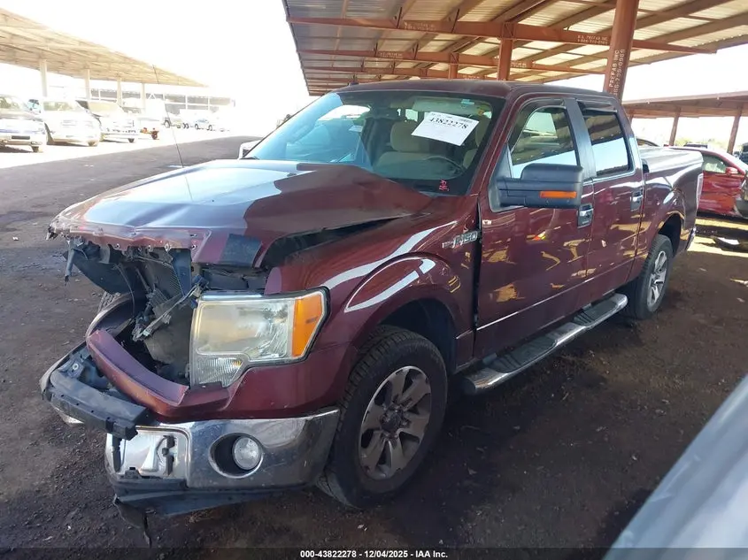 2010 FORD F-150 FX2 SPORT/HARLEY-DAVIDSON/KING RANCH/LARIAT/PLATINUM/XL/XLT
