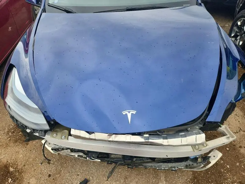 2025 TESLA MODEL Y   