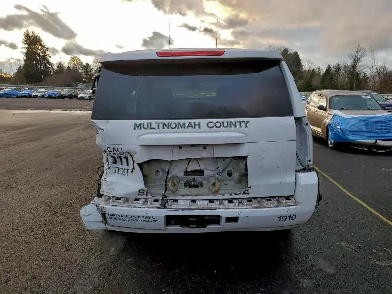 2019 CHEVROLET TAHOE POLICE  