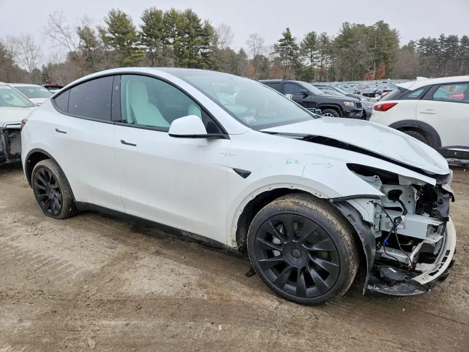2025 TESLA MODEL Y   