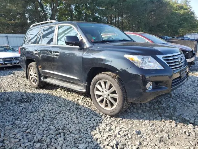 2011 LEXUS LX 570  