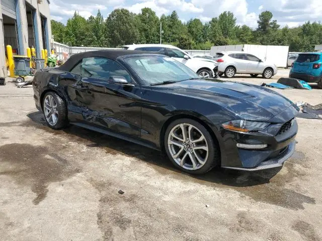 2019 FORD MUSTANG   