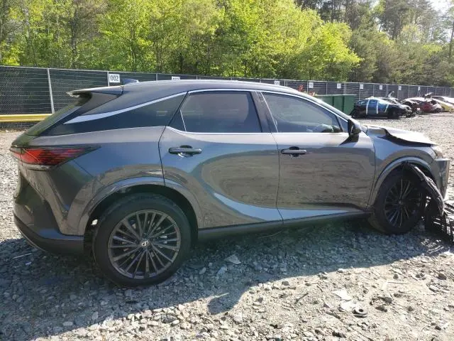 2025 LEXUS RX 350 BASE  