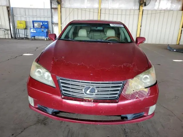 2010 LEXUS ES 350  