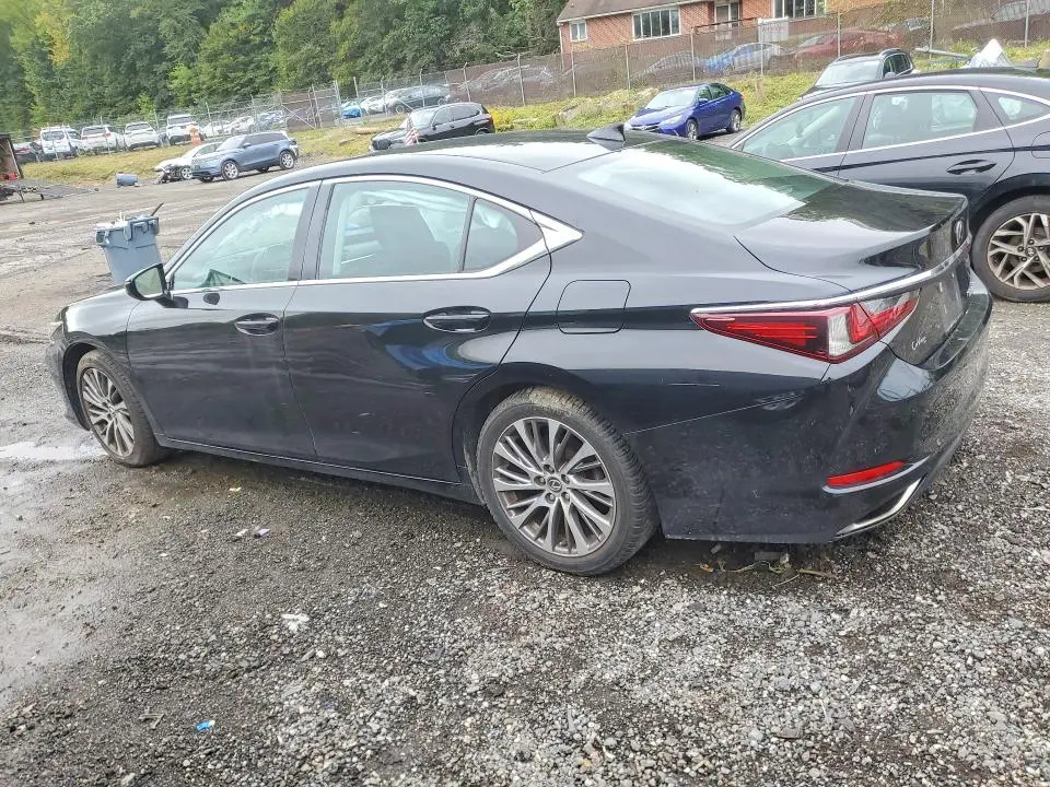 2019 LEXUS ES 350  