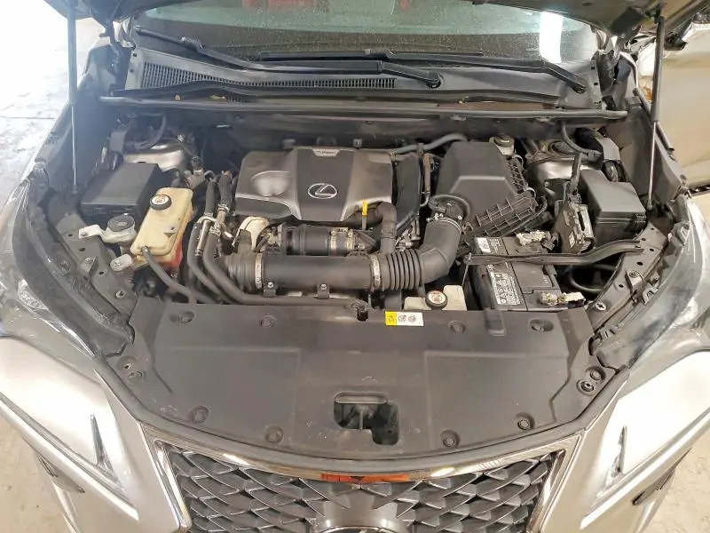 2019 LEXUS NX 300 F SPORT  