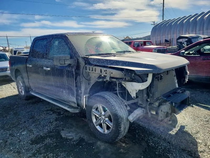 2025 FORD F150 XLT  